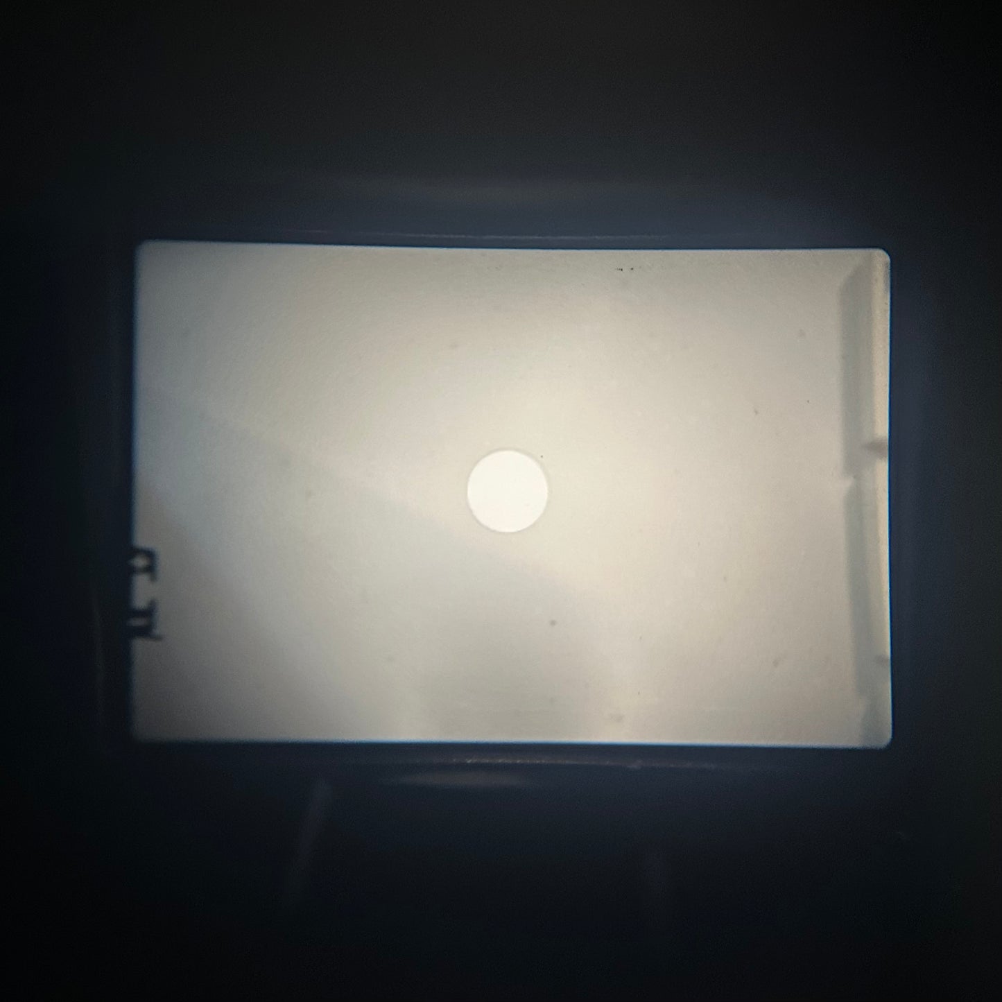 OLYMPUS OM-1【機械式のちいカメラ】