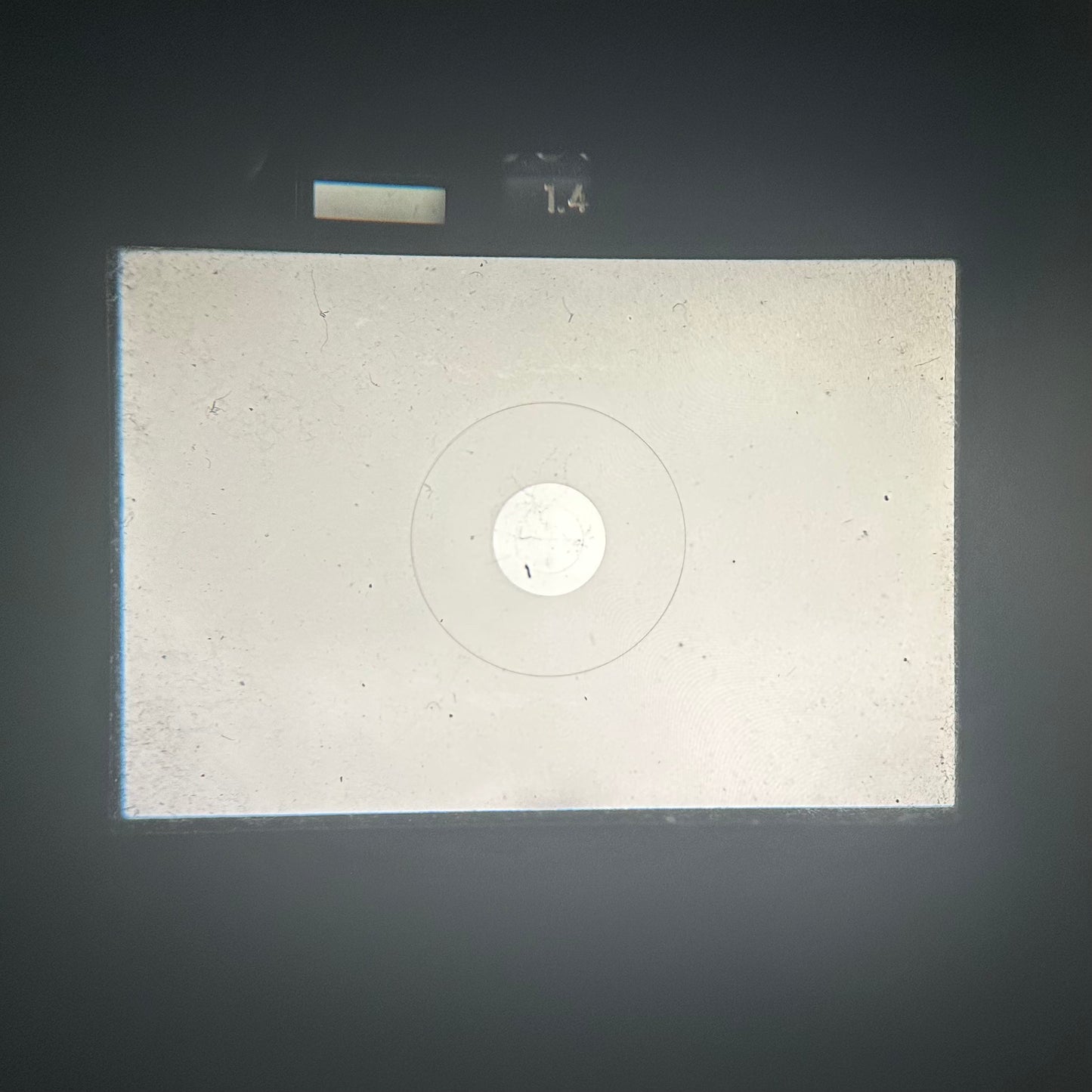 NIKON F3【孤高のプロ機】