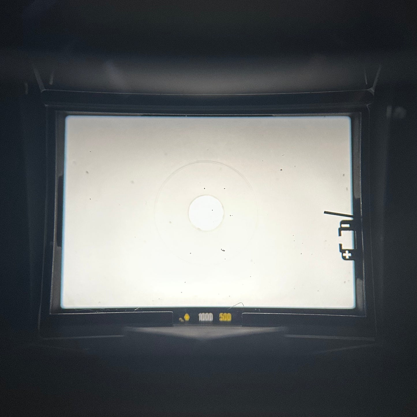 NIKON NIKOMAT【完動品】