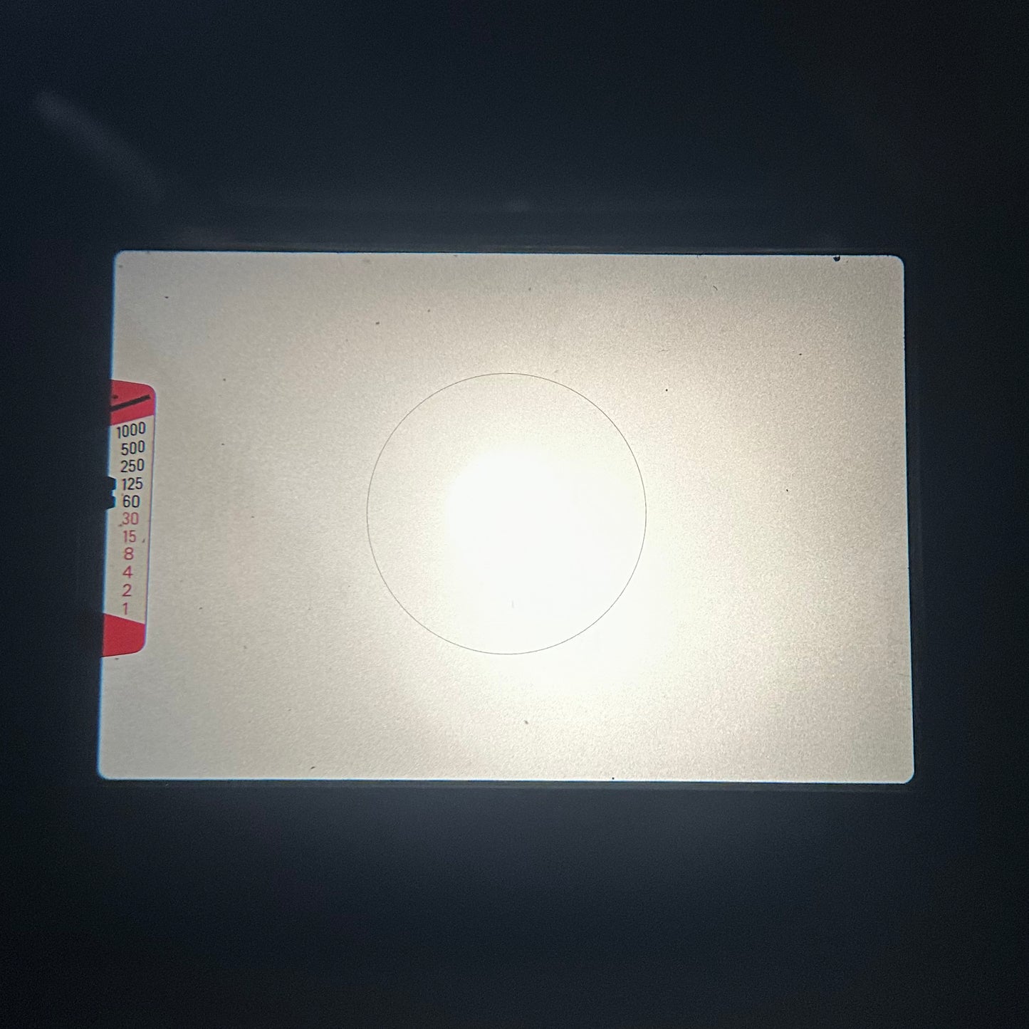 NIKON EM【小さなまんまるフォルム】