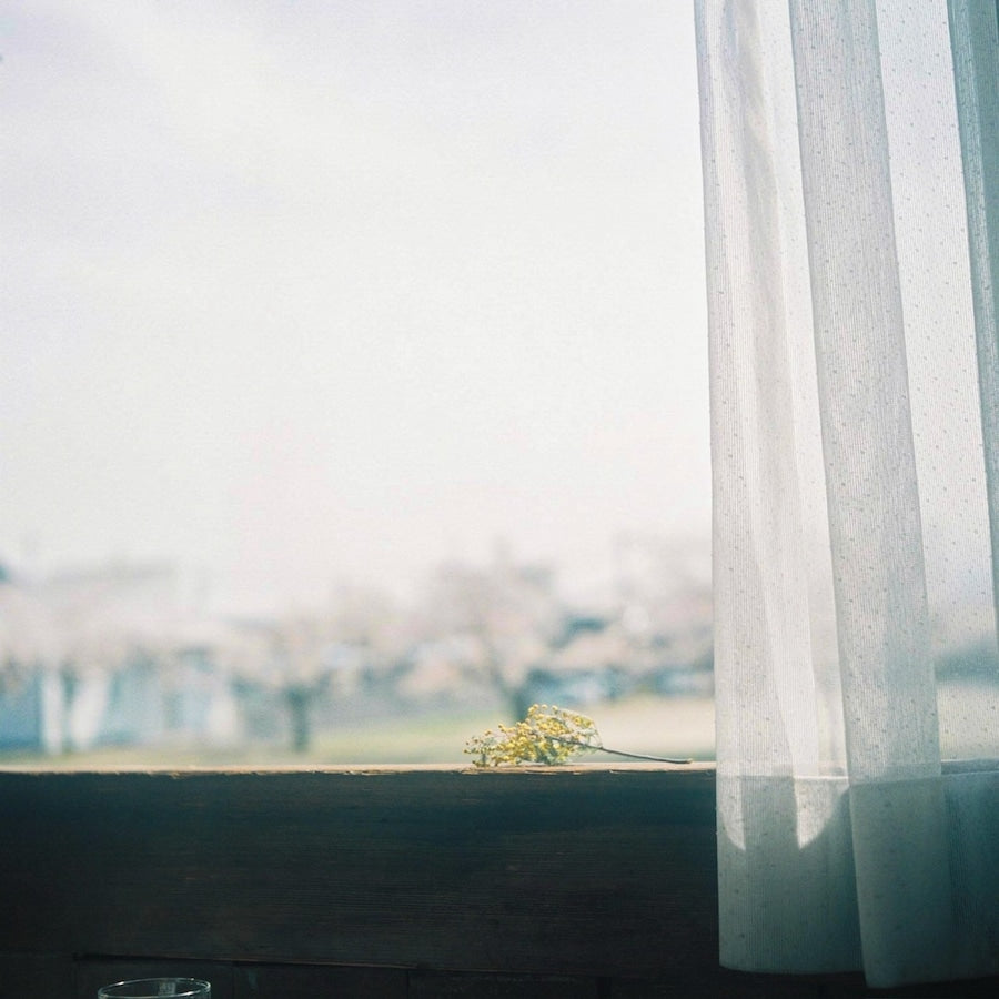 Minolta AUTOCORD 【二眼レフカメラの最高峰!】