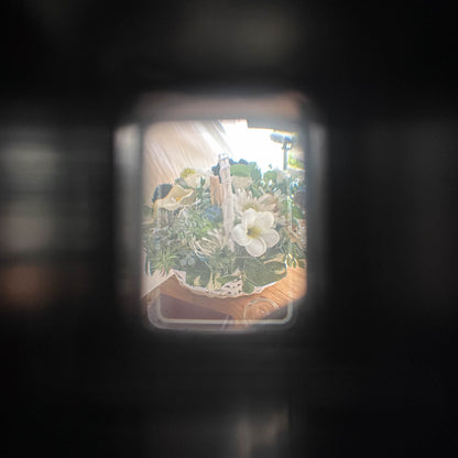 OLYMPUS PEN EF【ハーフ界のダブルスター！】