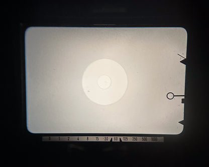 Minolta SRT 101【きのこの王が愛した名機】