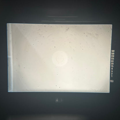 MINOLTA X-700【完動品】