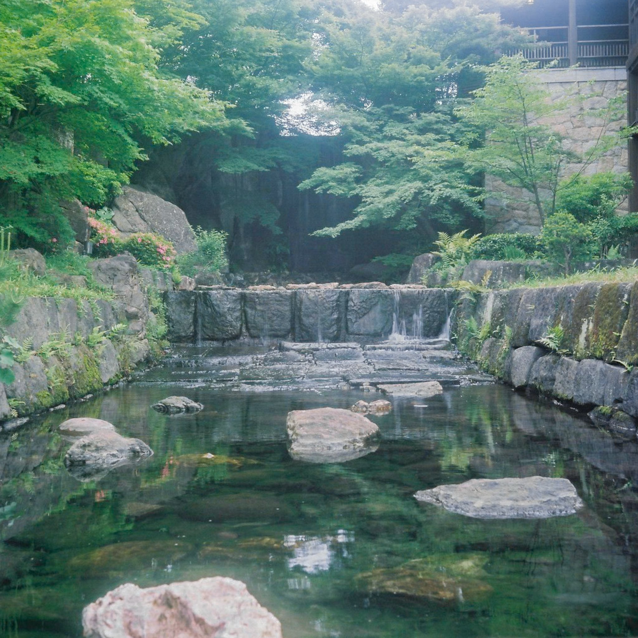 natsusomarrephotograph – ナツソマレフォトグラフ