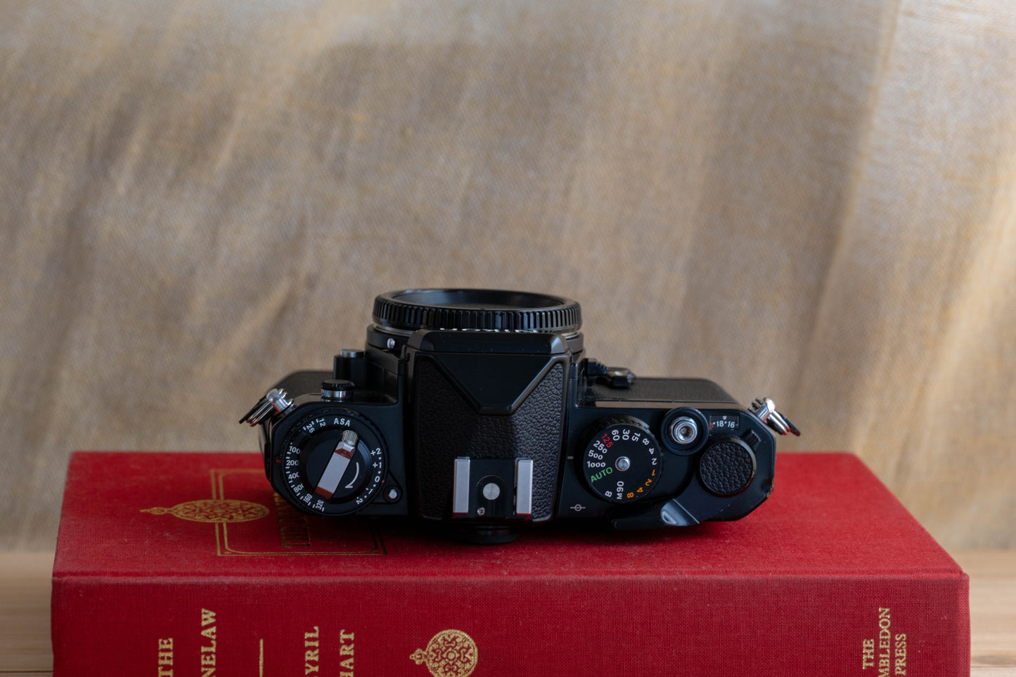 NIKON FE ブラック【スタイリッシュとかわいいの両立！】