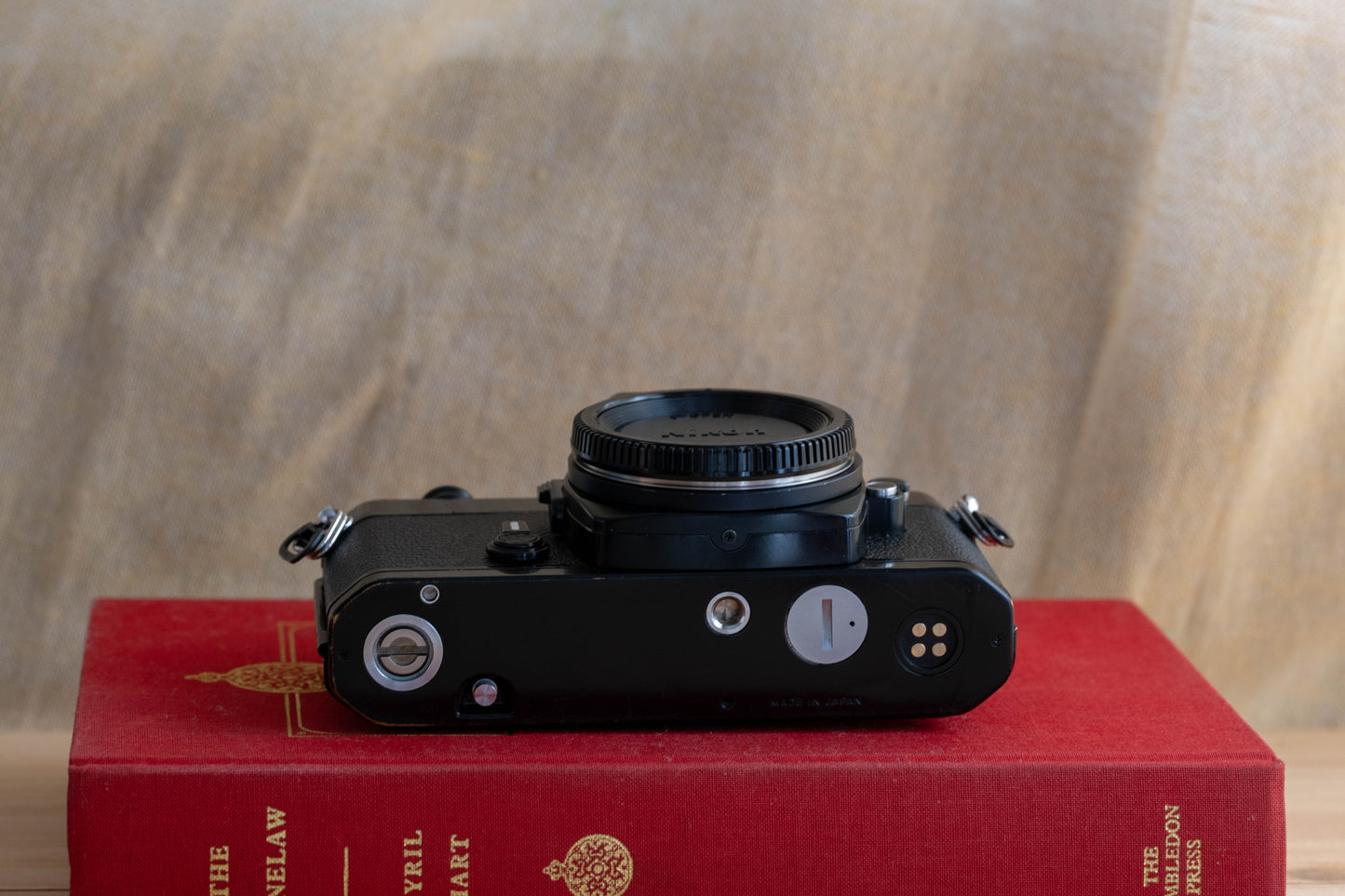 NIKON FE ブラック【スタイリッシュとかわいいの両立！】
