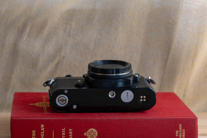 NIKON FE ブラック【スタイリッシュとかわいいの両立！】