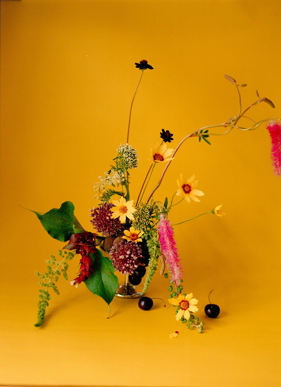 natsusomarrephotograph – ナツソマレフォトグラフ