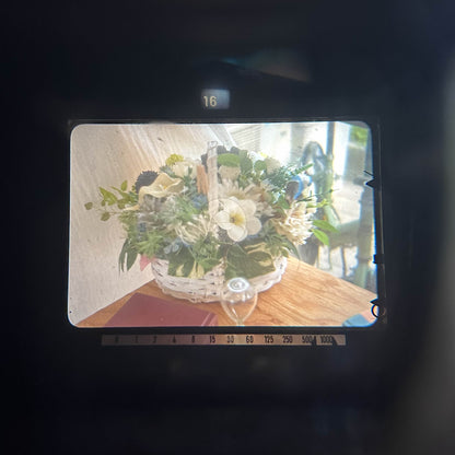 Minolta SRT SUPER ブラック【きのこの王が愛した名機】