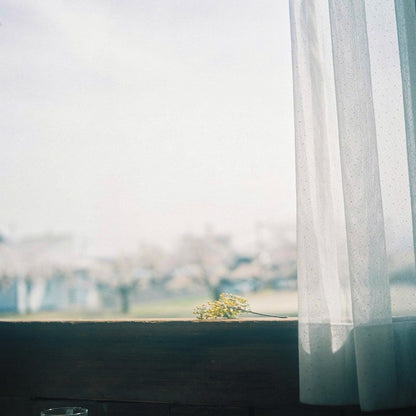 Minolta AUTOCORD 【二眼レフカメラの最高峰！】