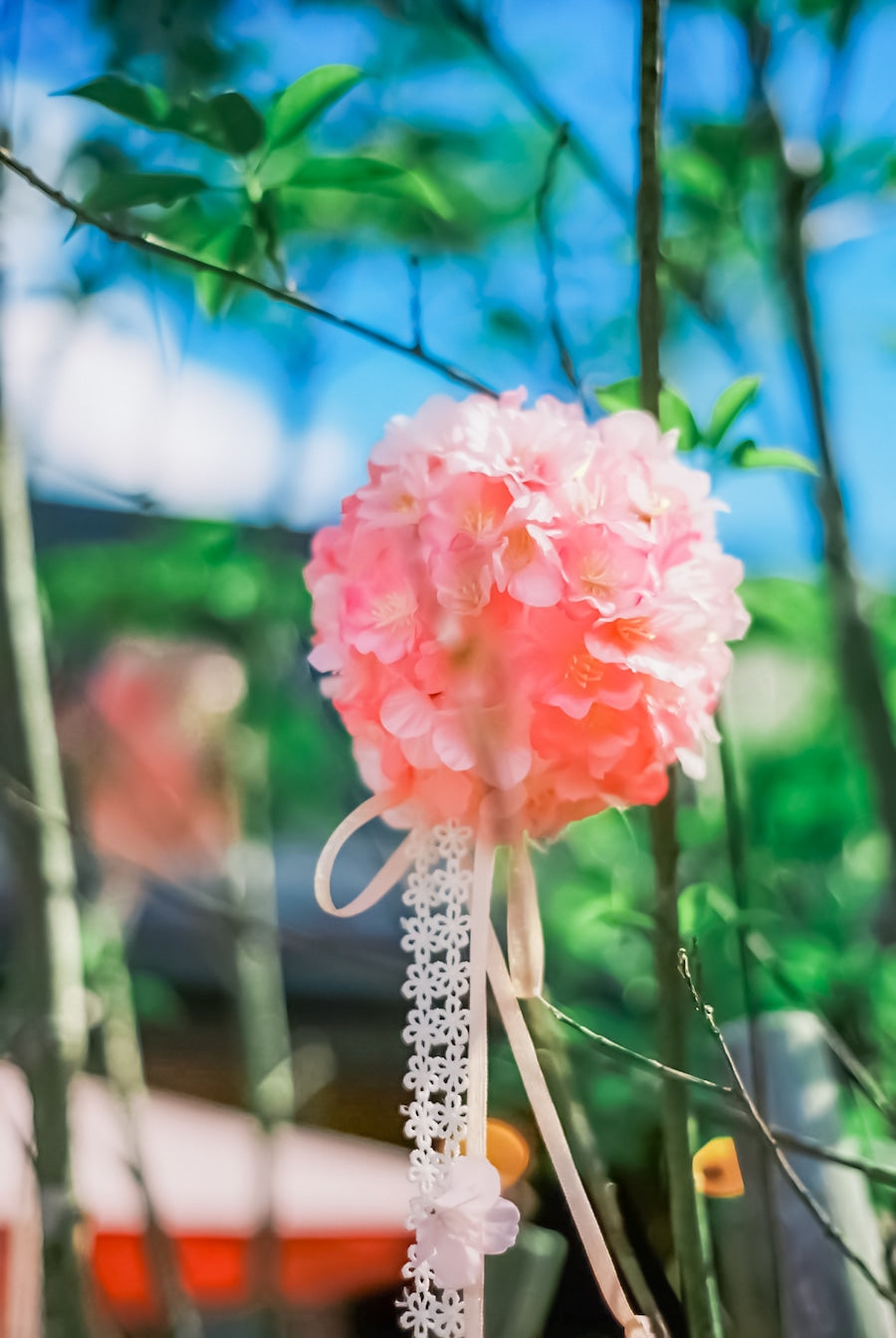 Minolta SRT SUPER ブラック【きのこの王が愛した名機】