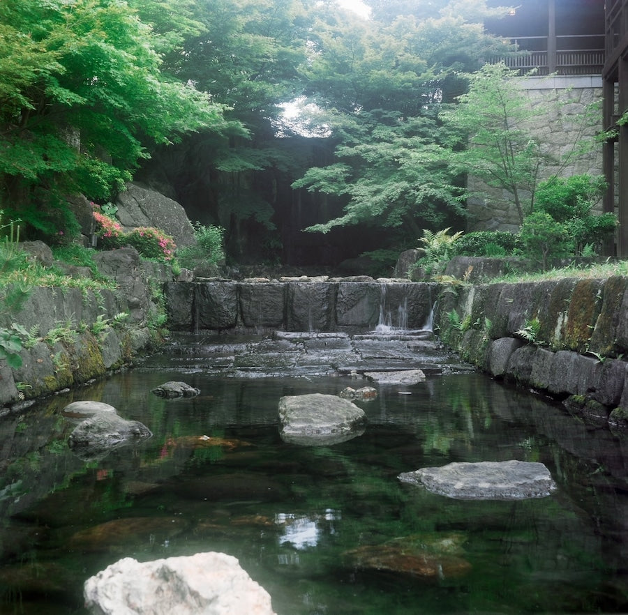 Minolta AUTOCORD 【二眼レフカメラの最高峰！】