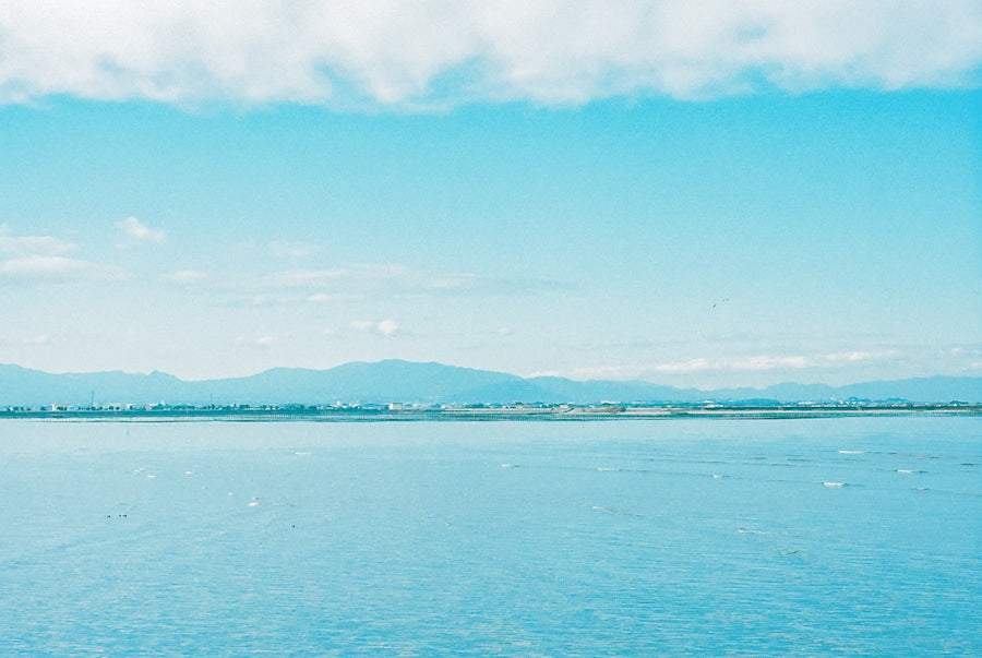 Minolta SRT SUPER ブラック【きのこの王が愛した名機】