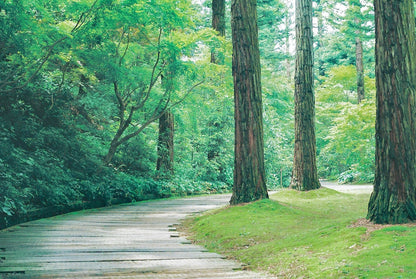 Minolta SRT SUPER ブラック【きのこの王が愛した名機】