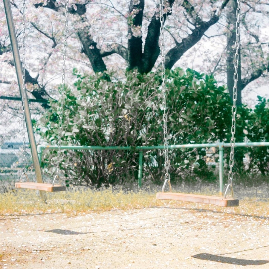 Minolta AUTOCORD 【二眼レフカメラの最高峰！】