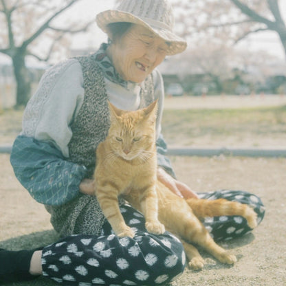 Minolta AUTOCORD 【二眼レフカメラの最高峰！】